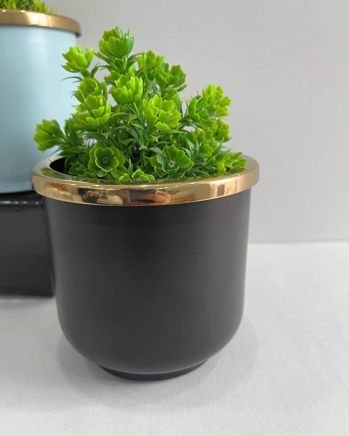 Set of 2 Planters 1 Large & 1 Small - Black & Light Blue with gold
